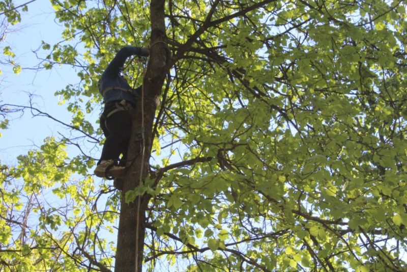 Праздничные забавы для детей организовали в городском сквере