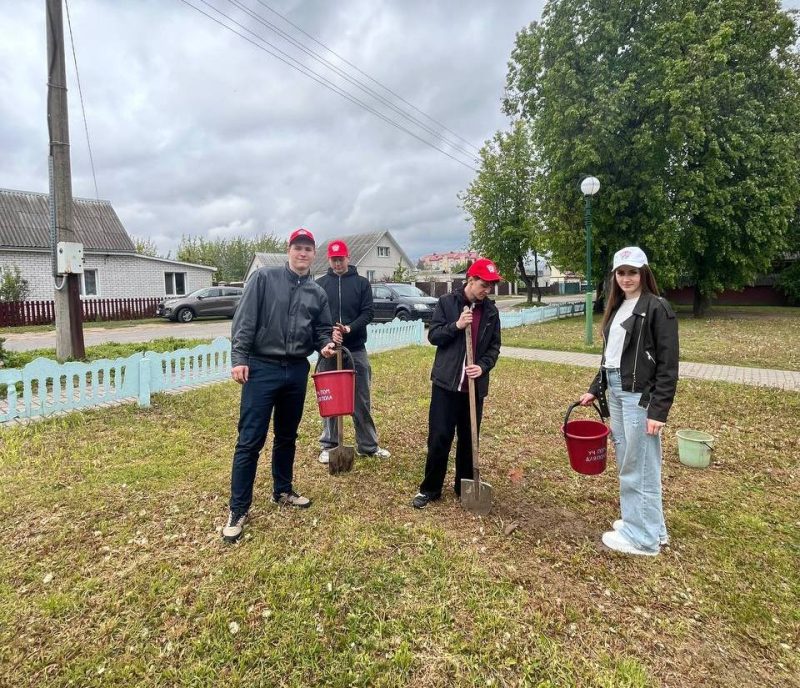 Активисты БРСМ приняли участие в благоустройстве сквера семейных деревьев Активисты БРСМ приняли участие в благоустройстве сквера семейных деревьев