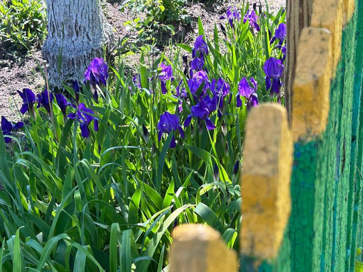 ФОТОФАКТ: Как прошло майское путешествие поезда "Забота"