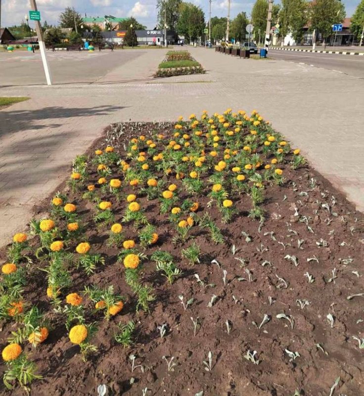 Костюковичи встречают лето во всей красе