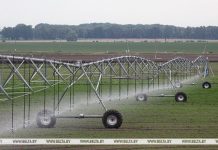 В каких областях чаще всего наблюдаются почвенные засухи, рассказали в Белгидромете