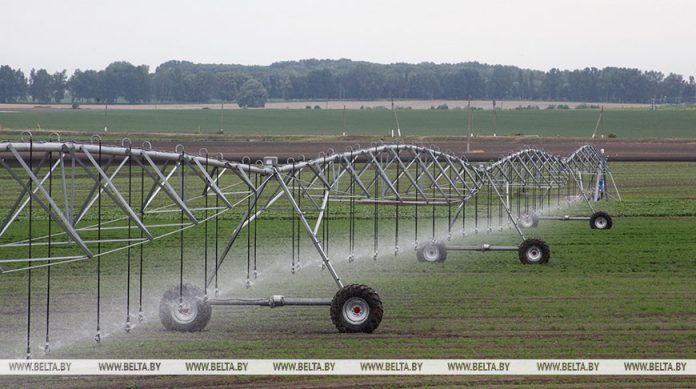 В каких областях чаще всего наблюдаются почвенные засухи, рассказали в Белгидромете