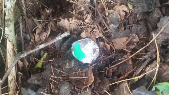 Под Могилевом с поличным поймали наркозакладчика: ему грозит до 20 лет лишения свободы