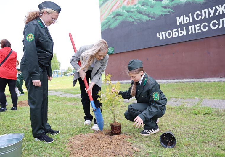 Новый арт-объект появился в Костюковичах