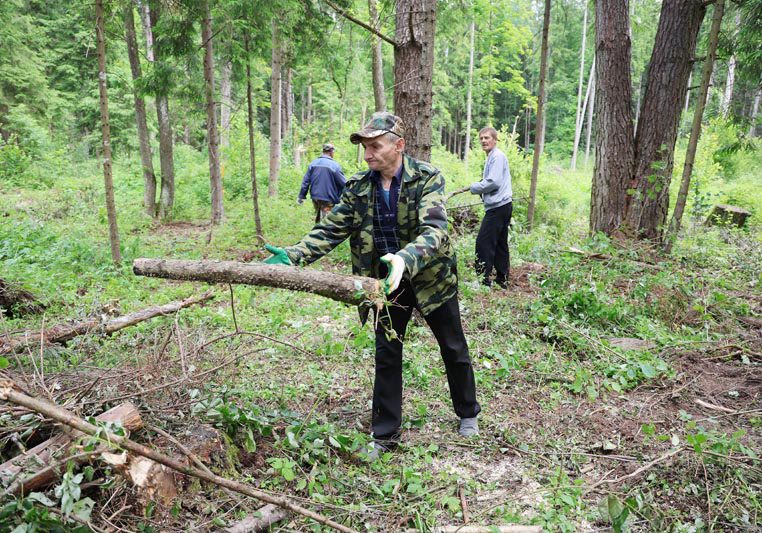 В лесу около Прусинской криницы идет благоустройство экологической тропы