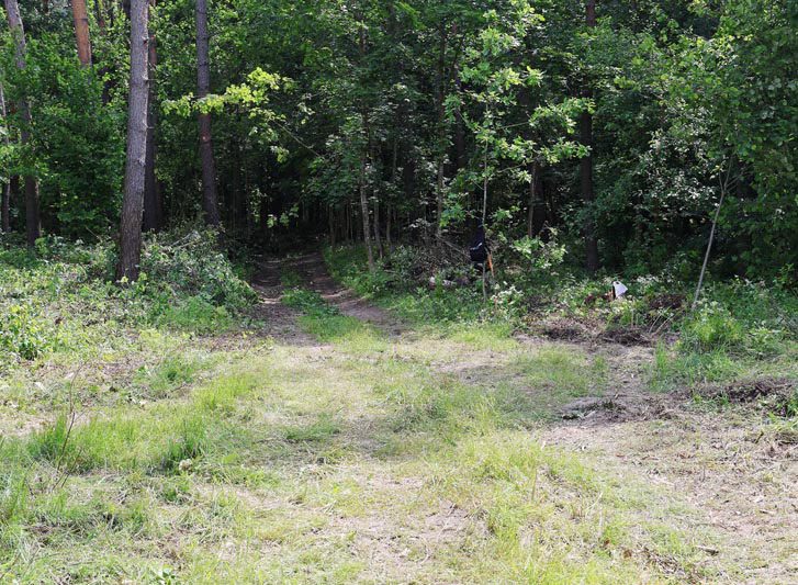 В лесу около Прусинской криницы идет благоустройство экологической тропы