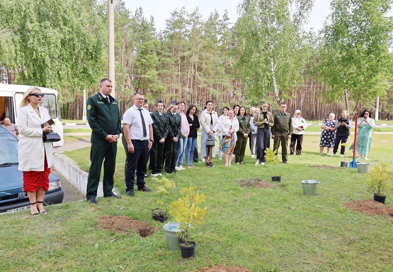 Новый арт-объект появился в Костюковичах