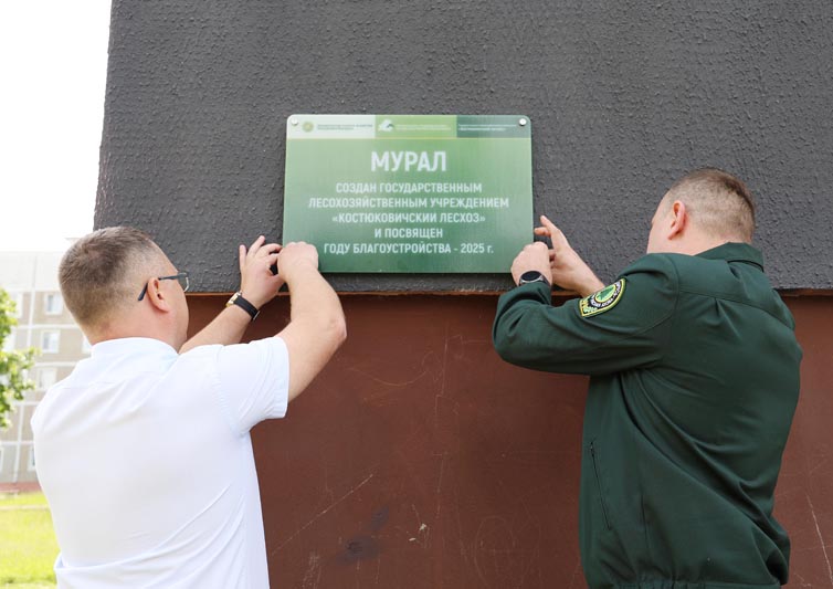 Новый арт-объект появился в Костюковичах