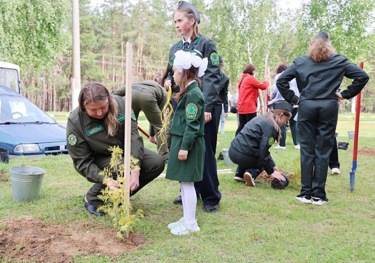 Новый арт-объект появился в Костюковичах