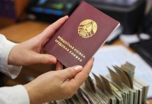 Как формируется трудовой стаж у ИП и самозанятых граждан