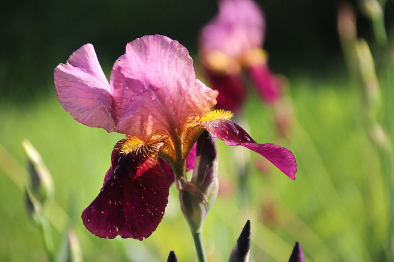 Ухоженная территория, малые архитектурные формы, красивый дизайн - все это создано руками работников Могилеввторчермета