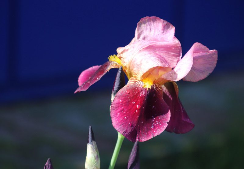 Ухоженная территория, малые архитектурные формы, красивый дизайн - все это создано руками работников Могилеввторчермета