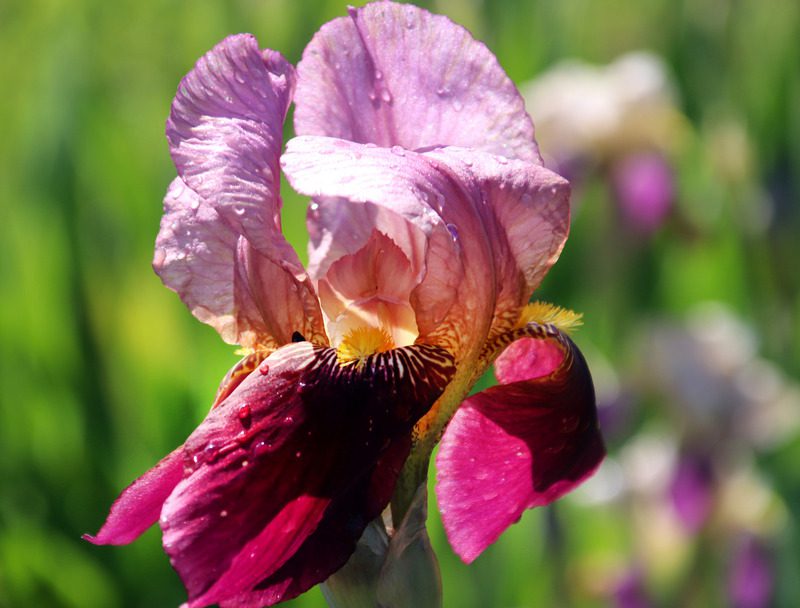 Ухоженная территория, малые архитектурные формы, красивый дизайн - все это создано руками работников Могилеввторчермета