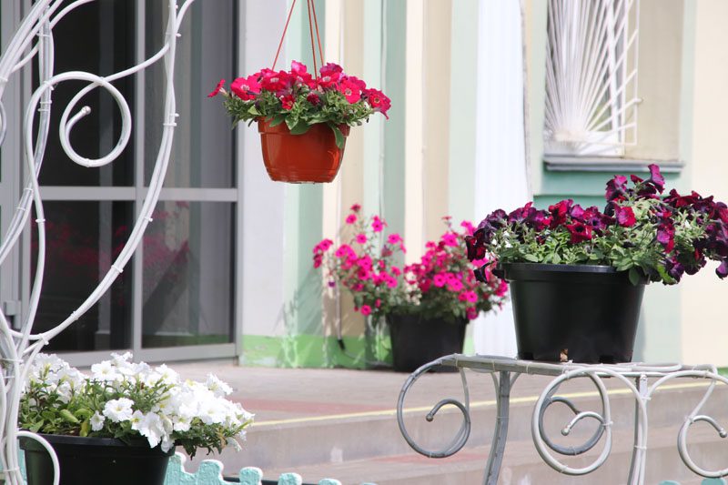 Работники ПМК-260 объединили свои усилия для создания комфортной и уютной среды