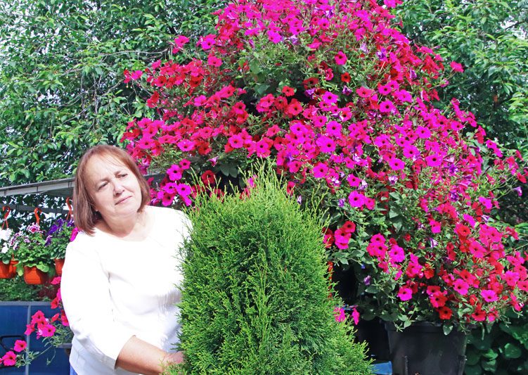 Красота в горшочках. Как увлечение стало смыслом жизни для Ольги Валовик