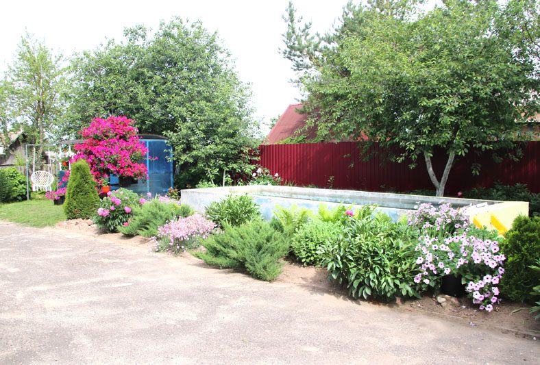 Красота в горшочках. Как увлечение стало смыслом жизни для Ольги Валовик