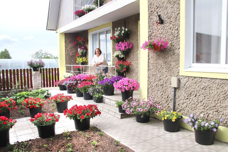 Красота в горшочках. Как увлечение стало смыслом жизни для Ольги Валовик