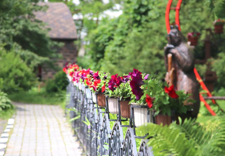 В Костюковичском лесхозе уделяют большое внимание благоустройству
