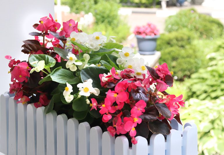 В Костюковичском лесхозе уделяют большое внимание благоустройству