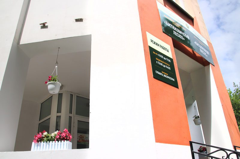 В Костюковичском лесхозе уделяют большое внимание благоустройству