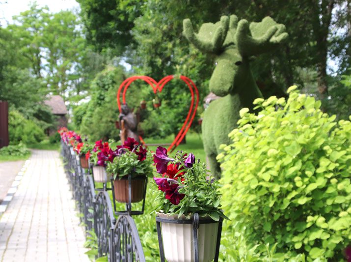 В Костюковичском лесхозе уделяют большое внимание благоустройству