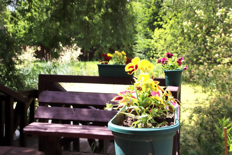 В Костюковичском лесхозе уделяют большое внимание благоустройству