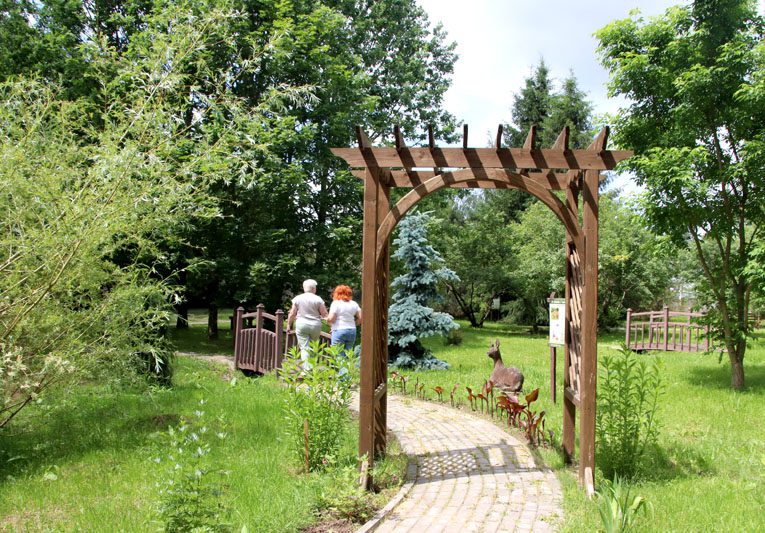 В Костюковичском лесхозе уделяют большое внимание благоустройству