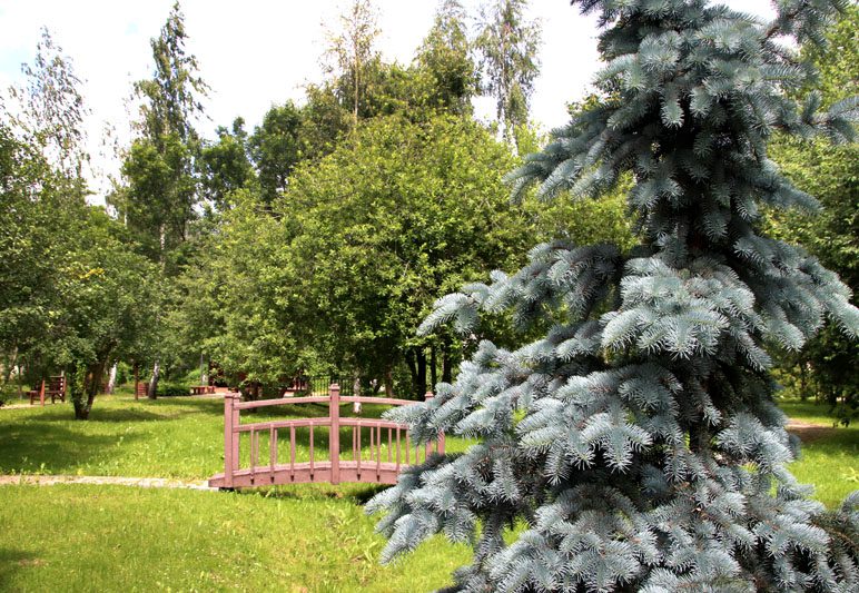 В Костюковичском лесхозе уделяют большое внимание благоустройству