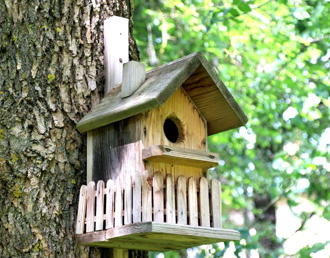 В Костюковичском лесхозе уделяют большое внимание благоустройству