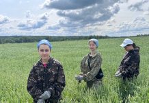 Каникулы в поле: муравильские школьники трудятся в студотряде