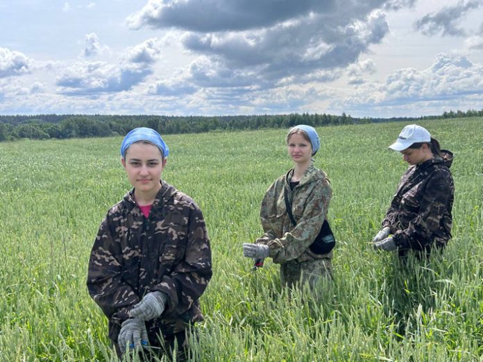 photo_5377572996652332084_y