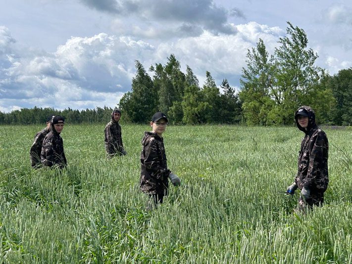 Каникулы в поле: муравильские школьники трудятся в студотряде Каникулы в поле: муравильские школьники трудятся в студотряде