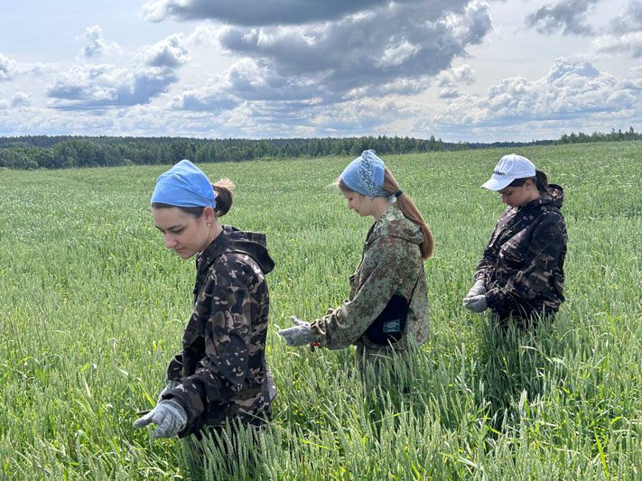 Каникулы в поле: муравильские школьники трудятся в студотряде Каникулы в поле: муравильские школьники трудятся в студотряде