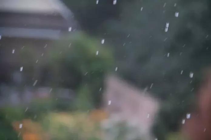 Июль будет дождливым: Дмитрий Рябов указал на приметы 25 июня