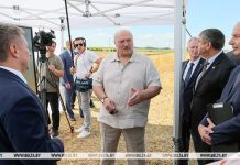 Лукашенко об уборочной кампании: надо ускоряться, чего бы ни стоило