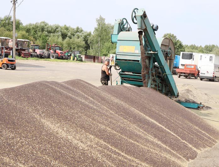 30 лет и 3 года, или Земля в умелых руках Куцаевых