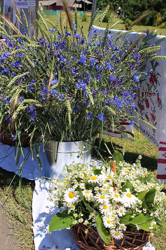 Единые и непобедимые! Праздничная атмосфера царит в Костюковичах