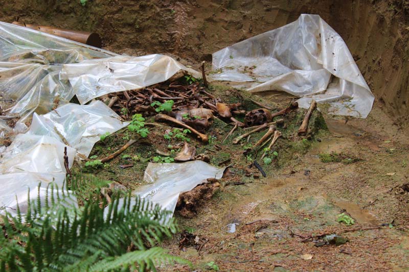 Костюковчане посетили Музей Славы Могилевщины