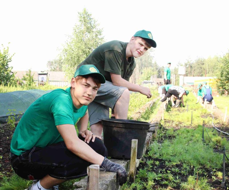 Лес рук! Костюковичские студотряды проводят трудовое лето в лесхозе Лес рук! Костюковичские студотряды проводят трудовое лето в лесхозе