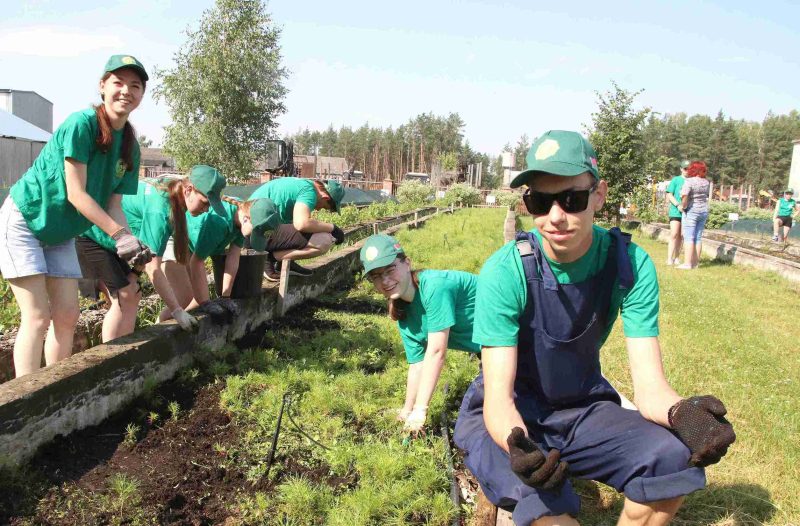 Лес рук! Костюковичские студотряды проводят трудовое лето в лесхозе