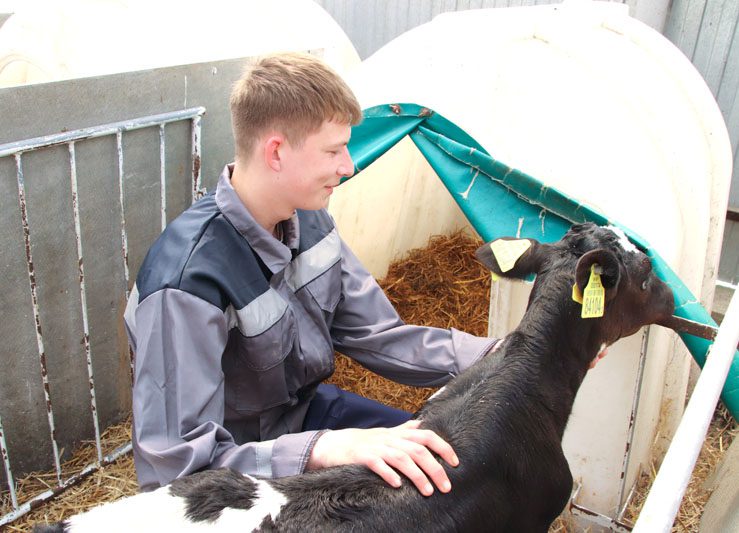 Узнали, как работает в "Цемагро" молодой ветфельдшер Михаил Тишков Узнали, как работает в "Цемагро" молодой ветфельдшер Михаил Тишков