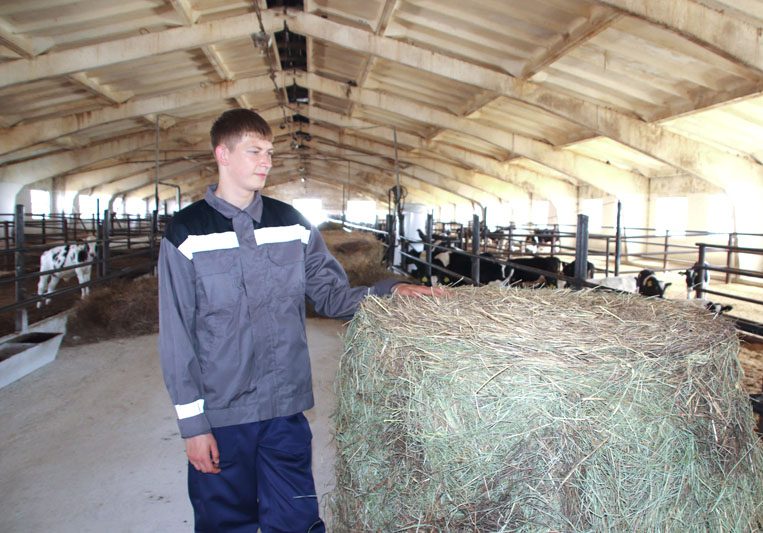 Узнали, как работает в "Цемагро" молодой ветфельдшер Михаил Тишков