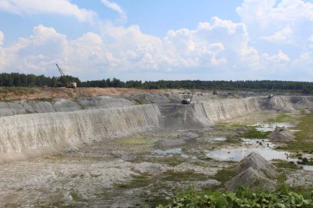 Тренажеры во дворах, велодорожки, экологическая тропа и БЦЗ… Узнали, как реализуется в Костюковичах проект «Здоровые города и поселки»