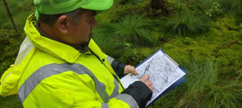 Заблудившийся в лесу пенсионер сам вышел к людям спустя сутки Заблудившийся в лесу пенсионер сам вышел к людям спустя сутки