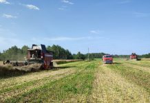 В Беларуси намолочено 1,75 млн тонн зерна