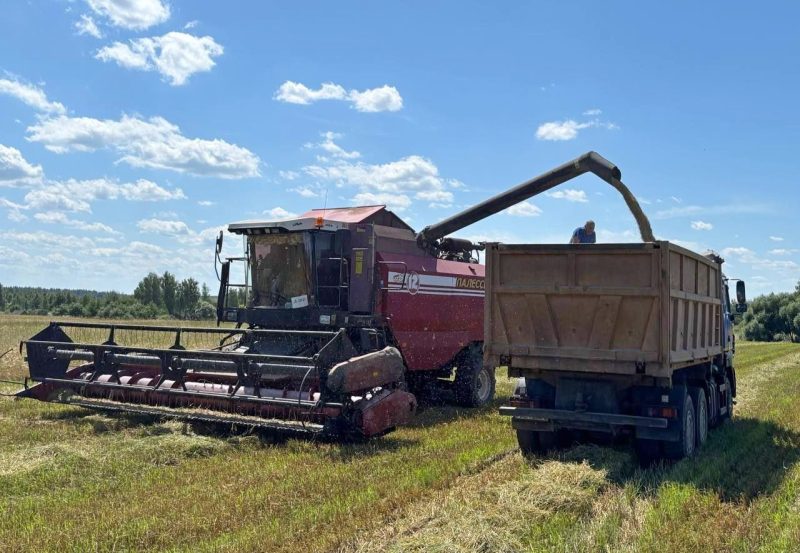 В Костюковичском районе началась уборочная кампания