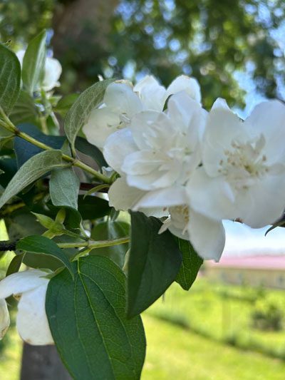 Костюковичская молодежь посетила достопримечательности Мстиславщины Костюковичская молодежь посетила достопримечательности Мстиславщины