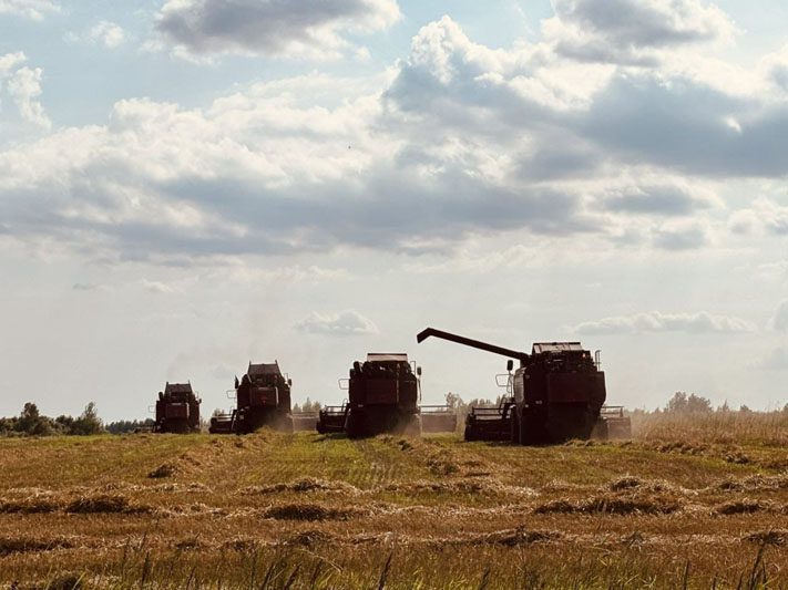 Праздник первого снопа отметили на Костюковщине Праздник первого снопа отметили на Костюковщине