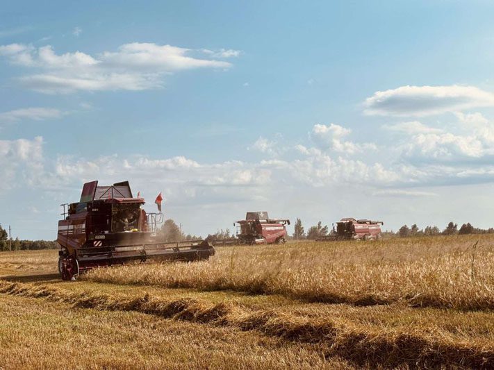 Праздник первого снопа отметили на Костюковщине Праздник первого снопа отметили на Костюковщине