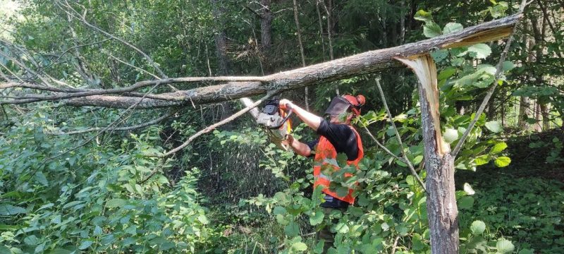Буйство стихии затронуло Костюковичский район: последствия устраняются